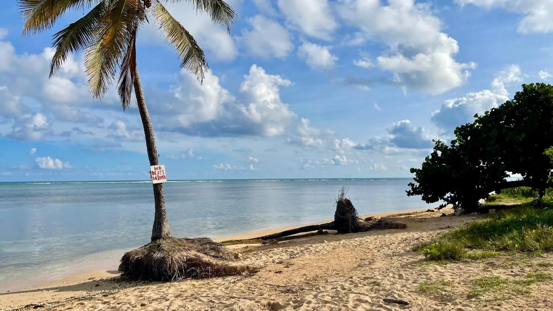 Kite Beachfront Villa In Las Picuaes Rio Grande 0*,  Puerto Rico